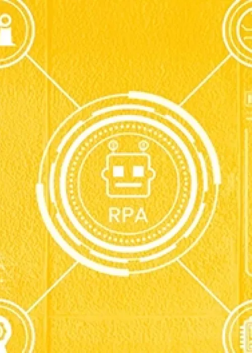 Microsoft Power Automate RPA Developer