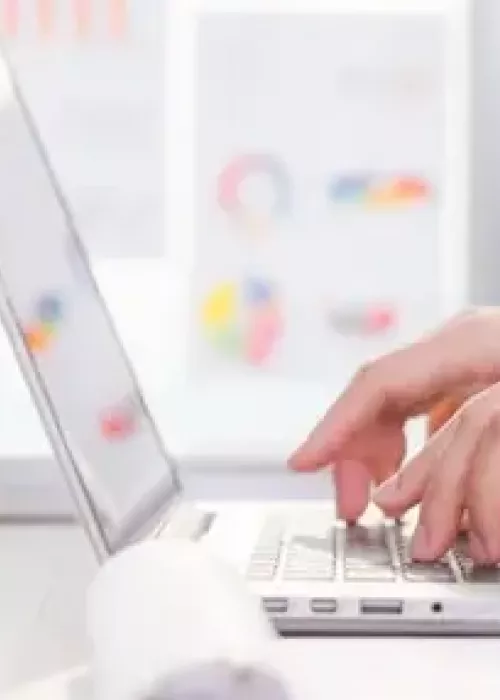 Creación y Gestión de Tablas y Gráficos Dinámicos con Microsoft Excel