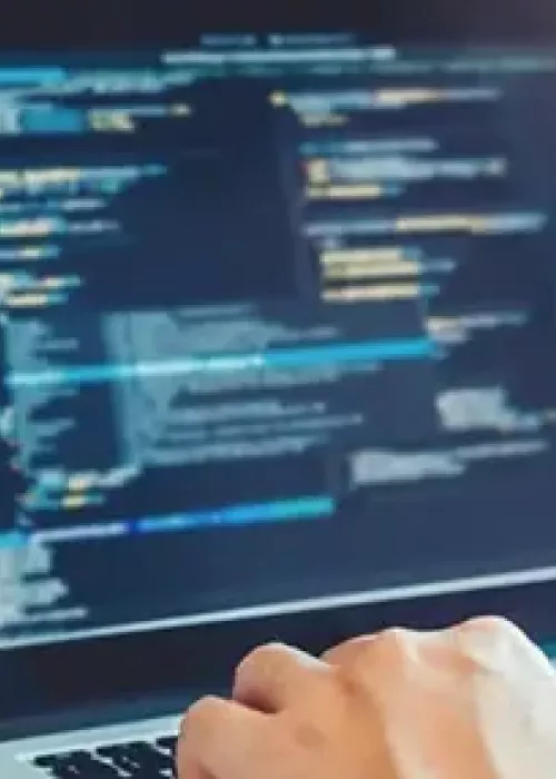 Microsoft PowerPoint 365 Usuario de la aplicación