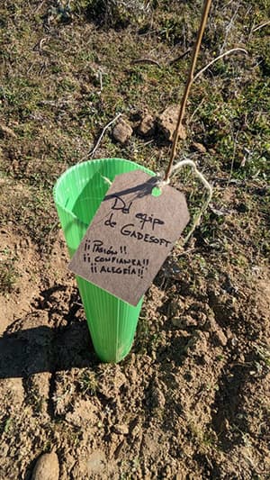 Ejemplo de colaboración en educación ambiental